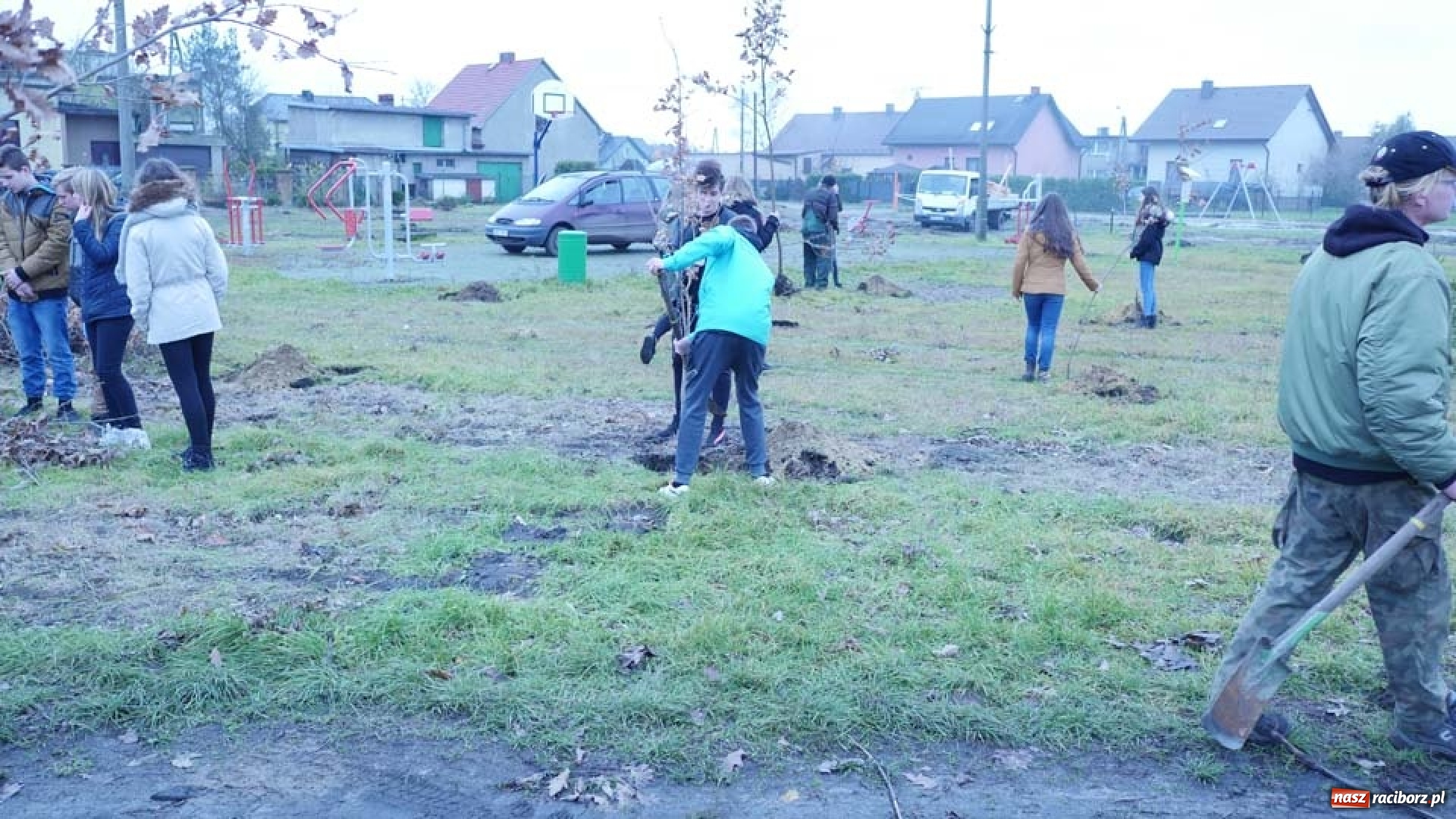 Zdjęcie w galerii na portalu naszraciborz.pl: Nasadzenie drzew w Parku Dębina wiadomości z regionu