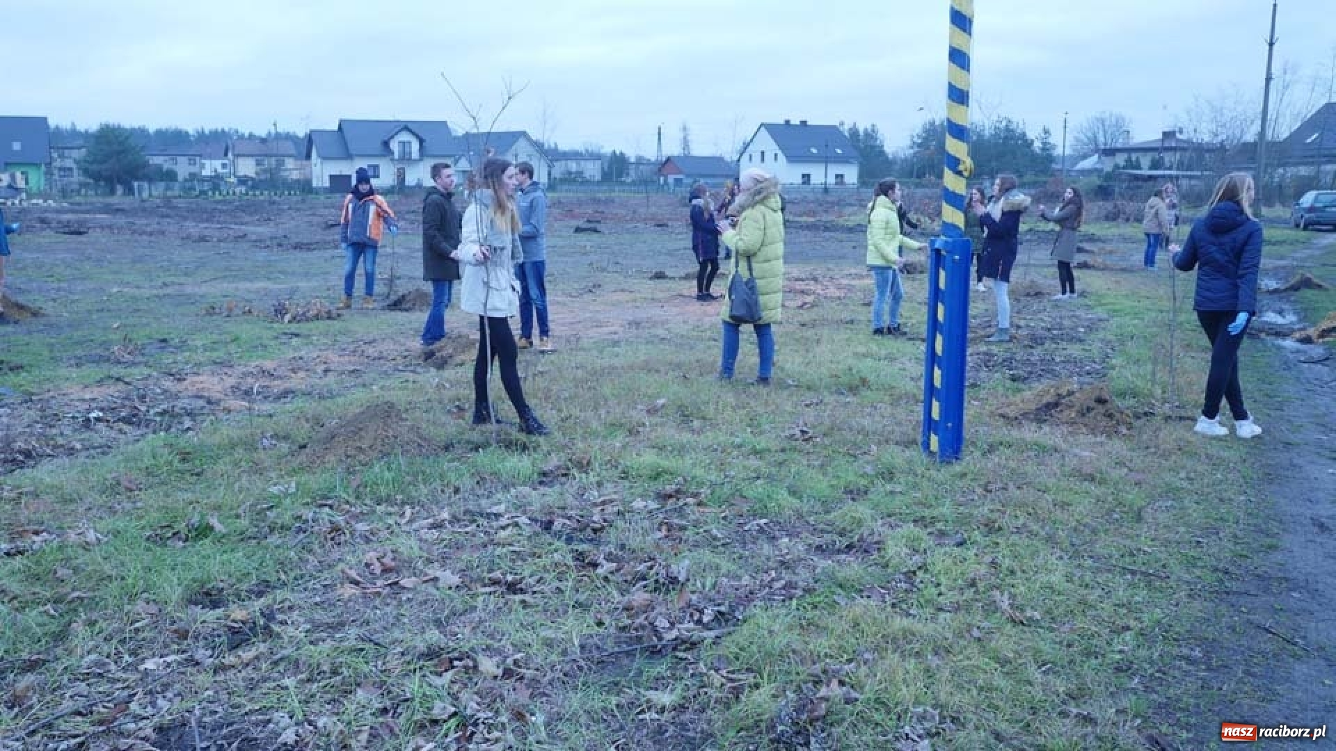 Zdjęcie w galerii na portalu naszraciborz.pl: Nasadzenie drzew w Parku Dębina wiadomości z regionu