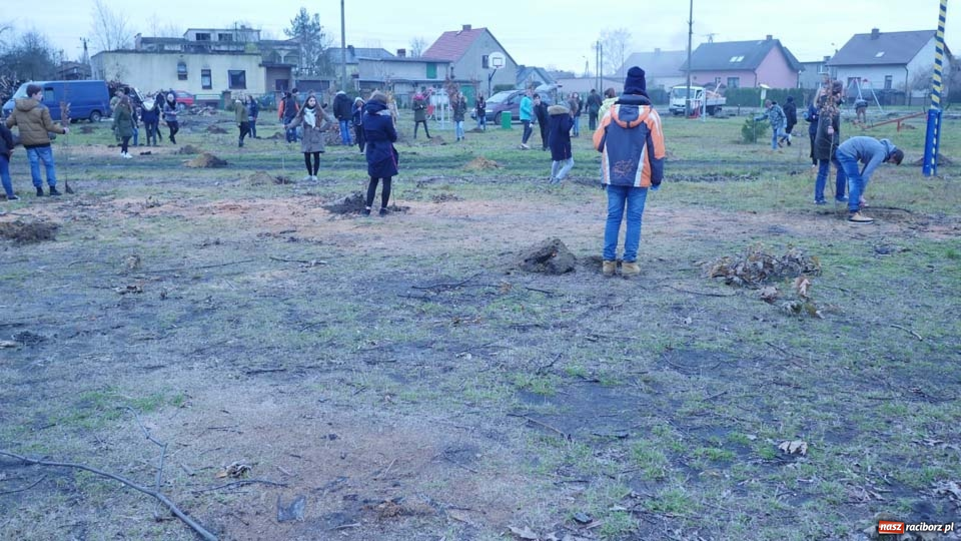 Zdjęcie w galerii na portalu naszraciborz.pl: Nasadzenie drzew w Parku Dębina wiadomości z regionu