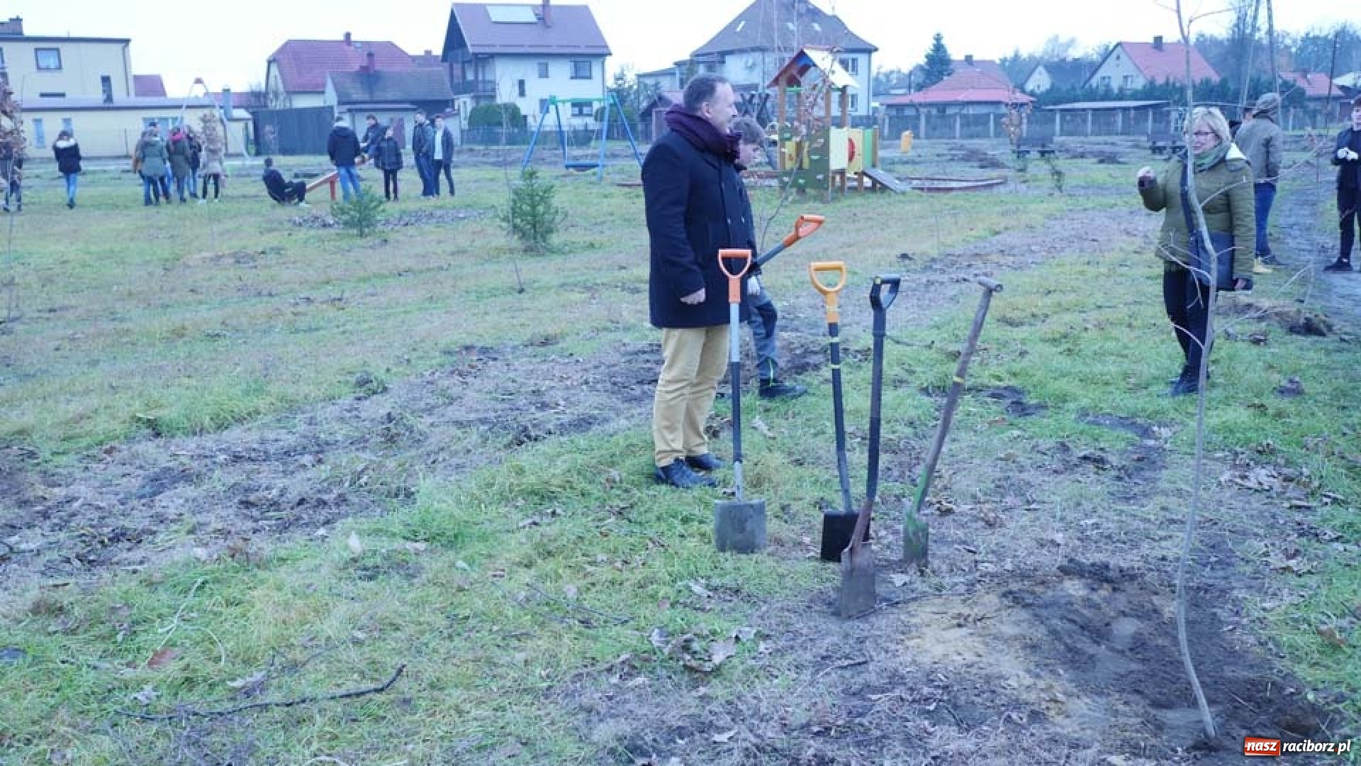 Zdjęcie w galerii na portalu naszraciborz.pl: Nasadzenie drzew w Parku Dębina wiadomości z regionu
