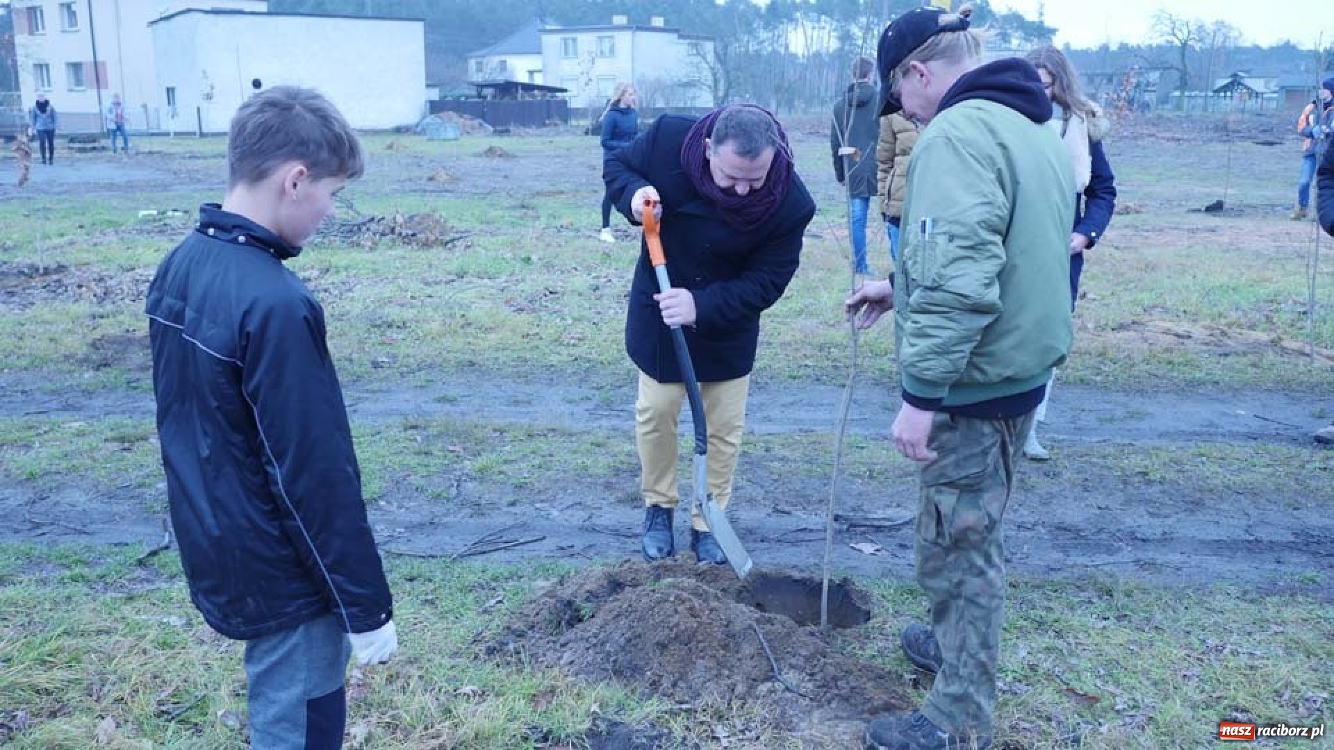 Zdjęcie w galerii na portalu naszraciborz.pl: Nasadzenie drzew w Parku Dębina wiadomości z regionu