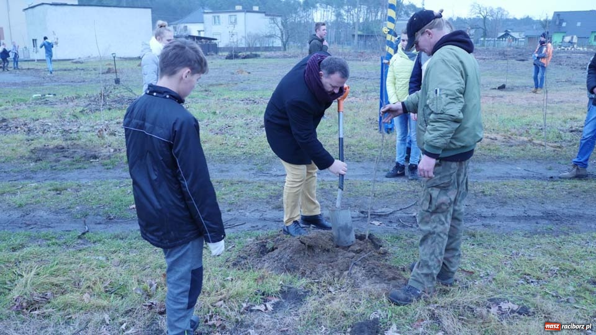 Zdjęcie w galerii na portalu naszraciborz.pl: Nasadzenie drzew w Parku Dębina wiadomości z regionu