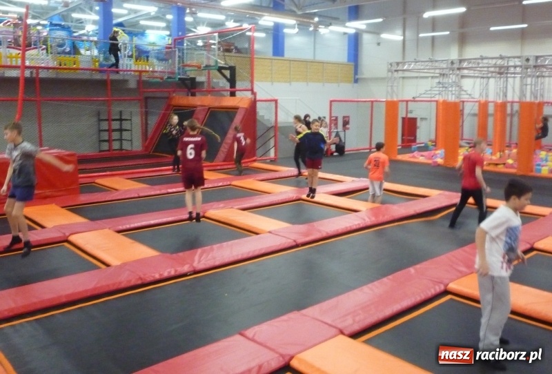 Zdjęcie w galerii na portalu naszraciborz.pl: Półfinał wojewódzkiego turnieju w unihokeju dziewcząt i chłopców wiadomości z regionu