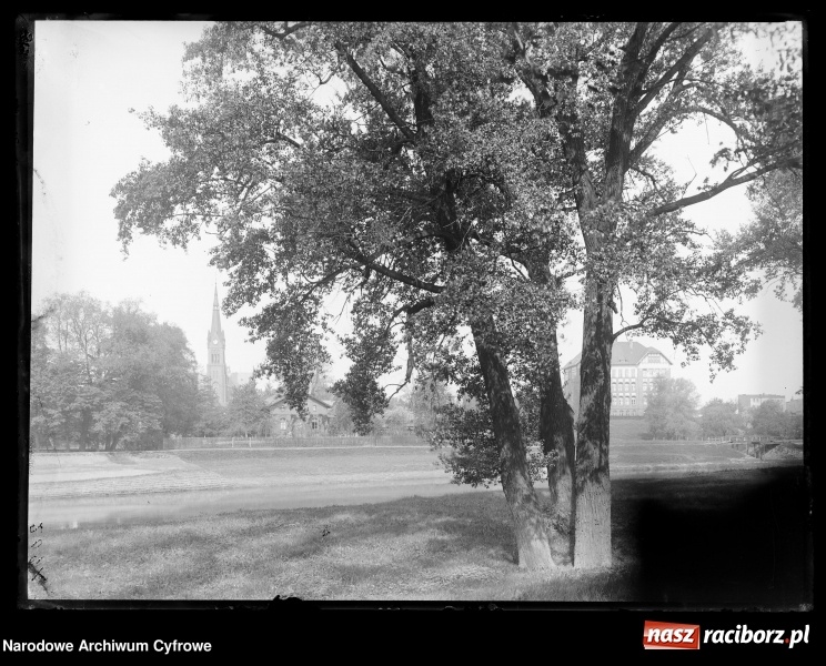 Zdjęcie w galerii na portalu naszraciborz.pl: Odra i raciborskie mosty na starej fotografii wiadomości z regionu