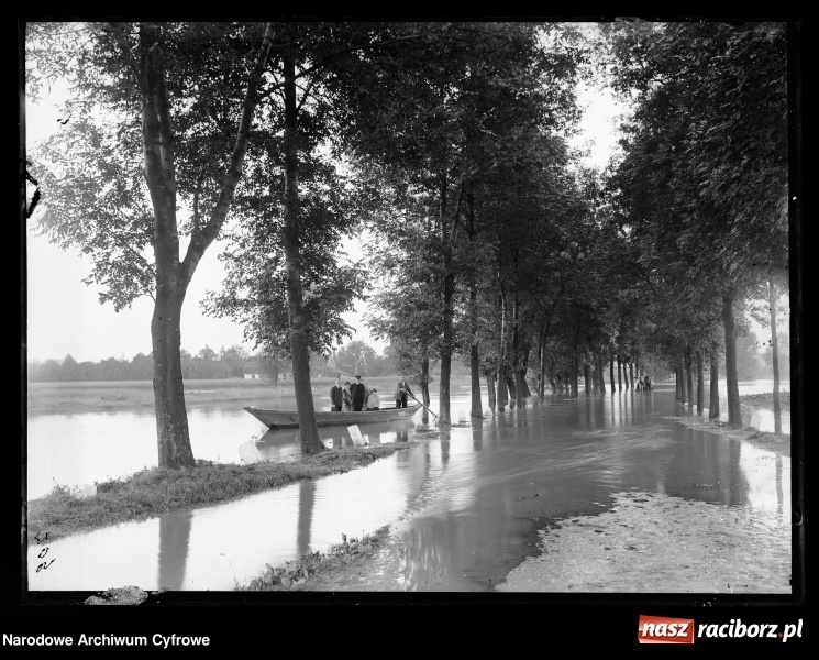 Zdjęcie w galerii na portalu naszraciborz.pl: Odra i raciborskie mosty na starej fotografii wiadomości z regionu