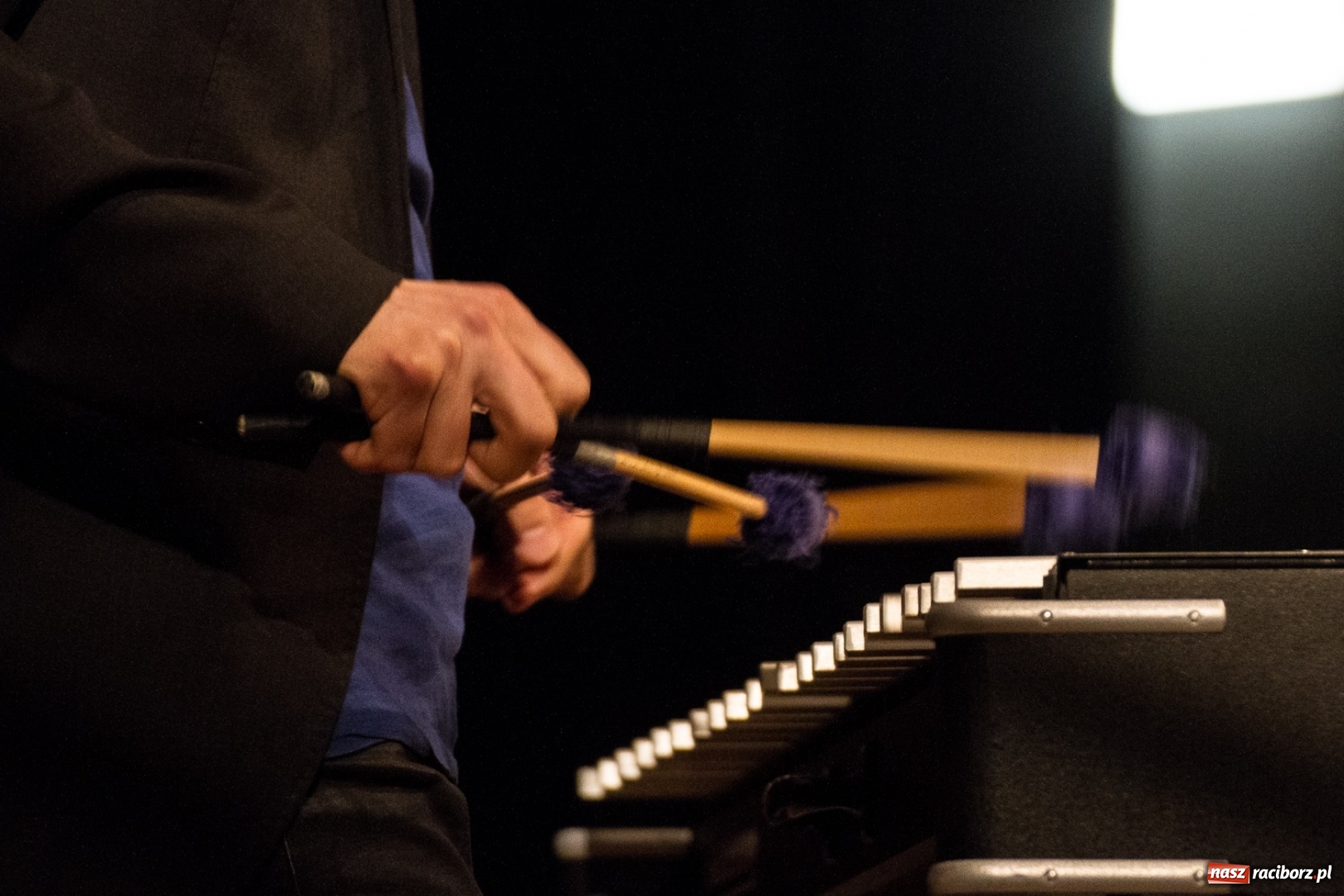 Zdjęcie w galerii na portalu naszraciborz.pl: Recital Krystyny Stańko w ramach festiwalu Palm Jazz Days  wiadomości z regionu