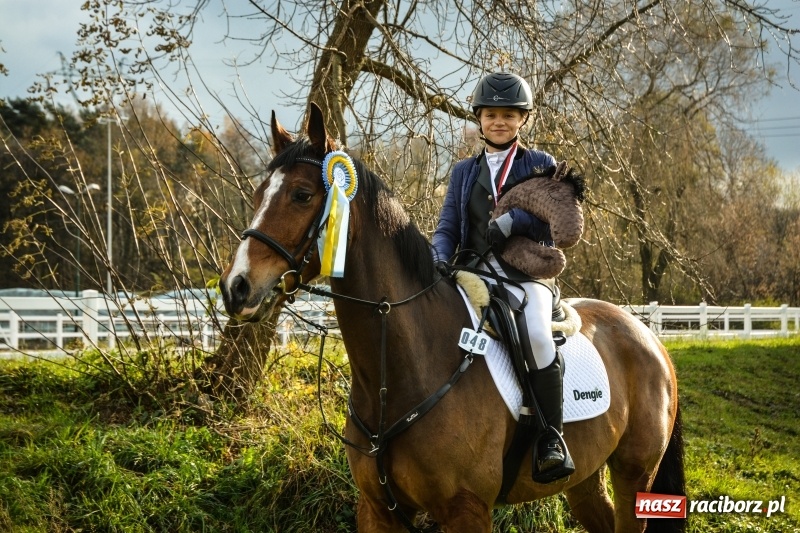 Zdjęcie w galerii na portalu naszraciborz.pl: Jeździeckie sukcesy Zosi Bugli wiadomości z regionu
