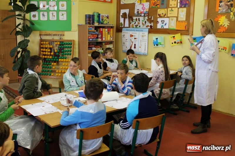 Zdjęcie w galerii na portalu naszraciborz.pl: Słodko, czyli kwaśno. Młodzi badacze z Płoni  wiadomości z regionu