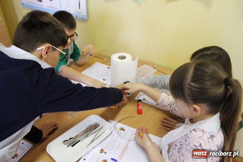 Zdjęcie w galerii na portalu naszraciborz.pl: Słodko, czyli kwaśno. Młodzi badacze z Płoni  wiadomości z regionu