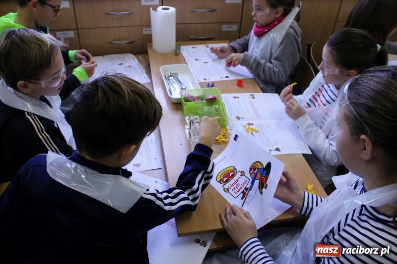 Zdjęcie w galerii na portalu naszraciborz.pl: Słodko, czyli kwaśno. Młodzi badacze z Płoni  wiadomości z regionu