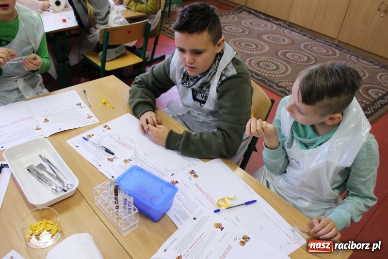 Zdjęcie w galerii na portalu naszraciborz.pl: Słodko, czyli kwaśno. Młodzi badacze z Płoni  wiadomości z regionu