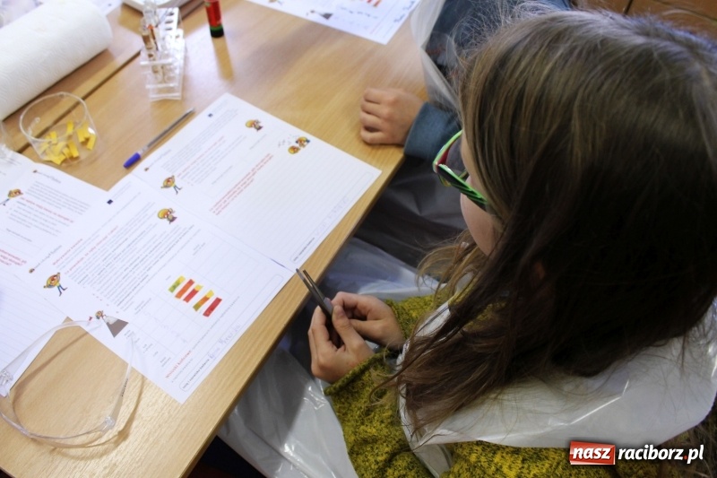 Zdjęcie w galerii na portalu naszraciborz.pl: Słodko, czyli kwaśno. Młodzi badacze z Płoni  wiadomości z regionu