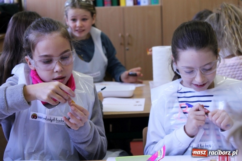 Zdjęcie w galerii na portalu naszraciborz.pl: Słodko, czyli kwaśno. Młodzi badacze z Płoni  wiadomości z regionu