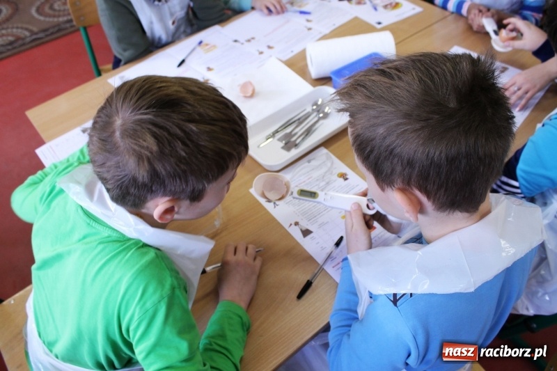 Zdjęcie w galerii na portalu naszraciborz.pl: Słodko, czyli kwaśno. Młodzi badacze z Płoni  wiadomości z regionu