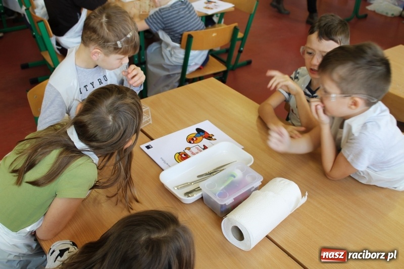 Zdjęcie w galerii na portalu naszraciborz.pl: Słodko, czyli kwaśno. Młodzi badacze z Płoni  wiadomości z regionu