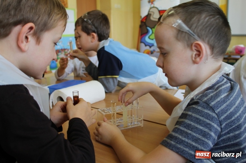 Zdjęcie w galerii na portalu naszraciborz.pl: Słodko, czyli kwaśno. Młodzi badacze z Płoni  wiadomości z regionu