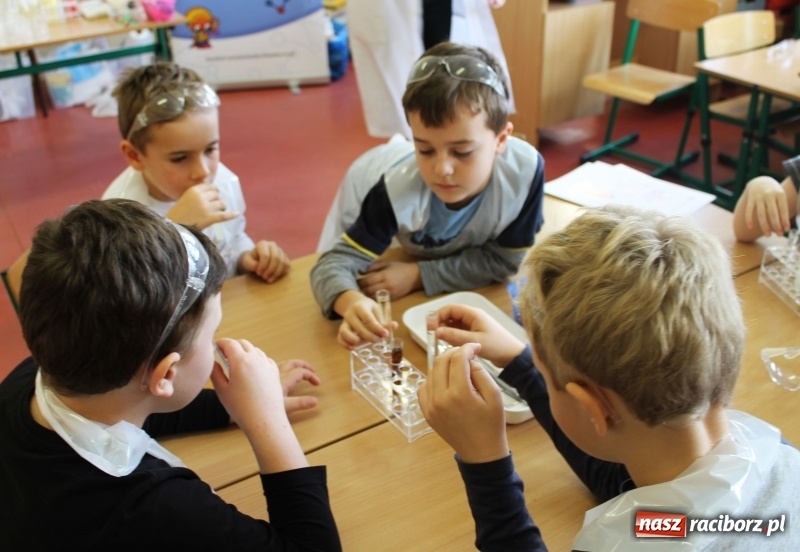 Zdjęcie w galerii na portalu naszraciborz.pl: Słodko, czyli kwaśno. Młodzi badacze z Płoni  wiadomości z regionu