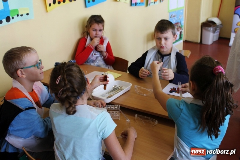 Zdjęcie w galerii na portalu naszraciborz.pl: Słodko, czyli kwaśno. Młodzi badacze z Płoni  wiadomości z regionu