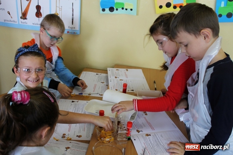 Zdjęcie w galerii na portalu naszraciborz.pl: Słodko, czyli kwaśno. Młodzi badacze z Płoni  wiadomości z regionu