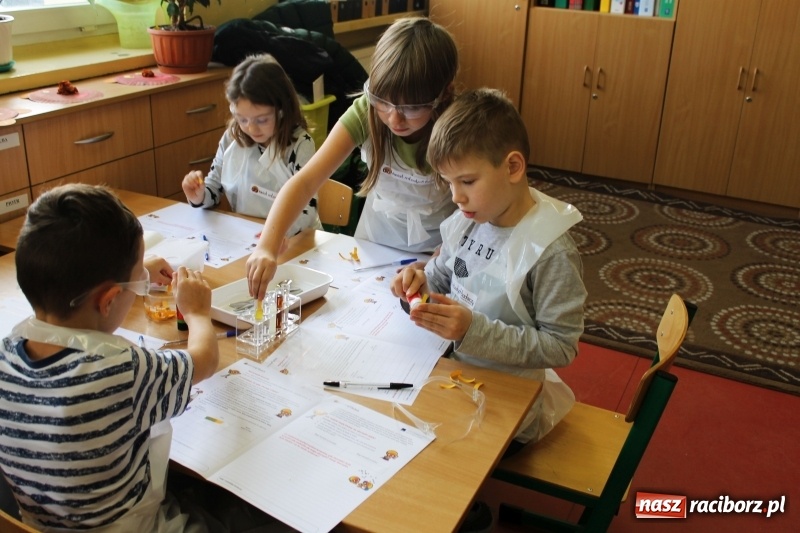 Zdjęcie w galerii na portalu naszraciborz.pl: Słodko, czyli kwaśno. Młodzi badacze z Płoni  wiadomości z regionu