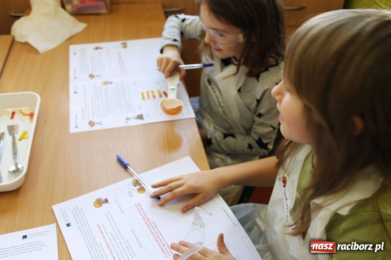 Zdjęcie w galerii na portalu naszraciborz.pl: Słodko, czyli kwaśno. Młodzi badacze z Płoni  wiadomości z regionu