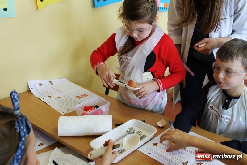 Zdjęcie w galerii na portalu naszraciborz.pl: Słodko, czyli kwaśno. Młodzi badacze z Płoni  wiadomości z regionu