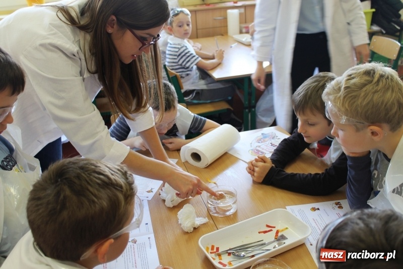 Zdjęcie w galerii na portalu naszraciborz.pl: Słodko, czyli kwaśno. Młodzi badacze z Płoni  wiadomości z regionu