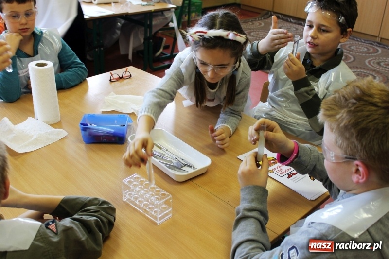 Zdjęcie w galerii na portalu naszraciborz.pl: Słodko, czyli kwaśno. Młodzi badacze z Płoni  wiadomości z regionu