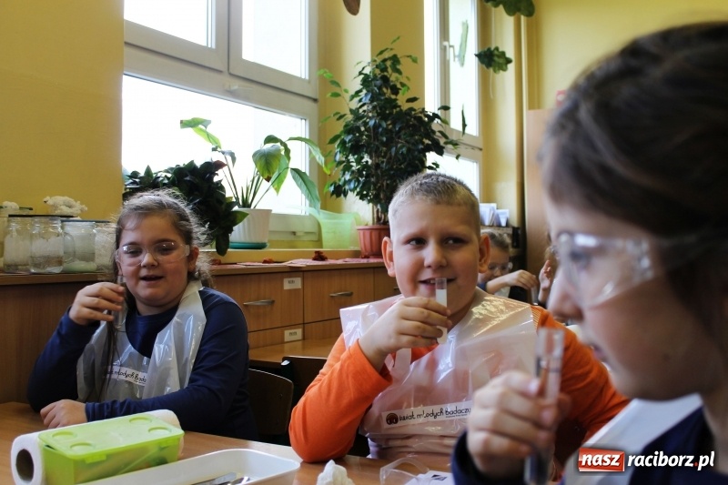 Zdjęcie w galerii na portalu naszraciborz.pl: Słodko, czyli kwaśno. Młodzi badacze z Płoni  wiadomości z regionu