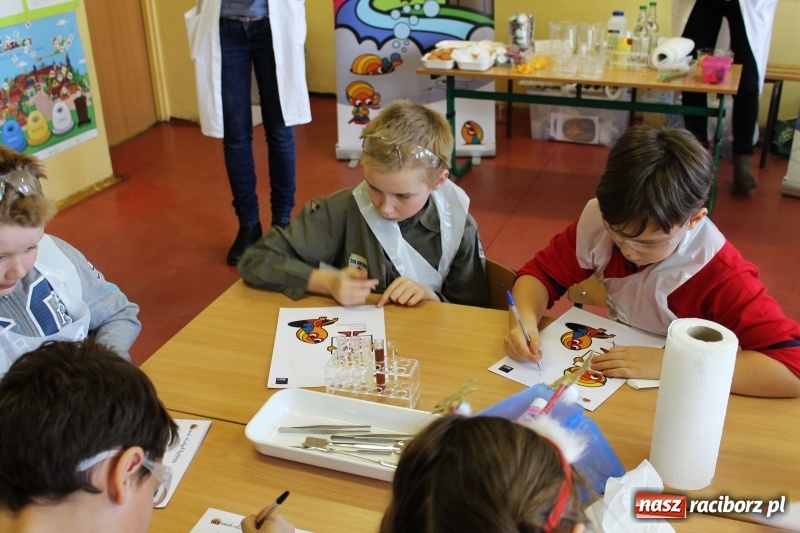 Zdjęcie w galerii na portalu naszraciborz.pl: Słodko, czyli kwaśno. Młodzi badacze z Płoni  wiadomości z regionu