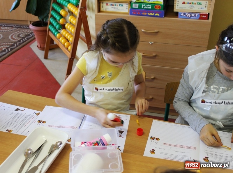 Zdjęcie w galerii na portalu naszraciborz.pl: Słodko, czyli kwaśno. Młodzi badacze z Płoni  wiadomości z regionu