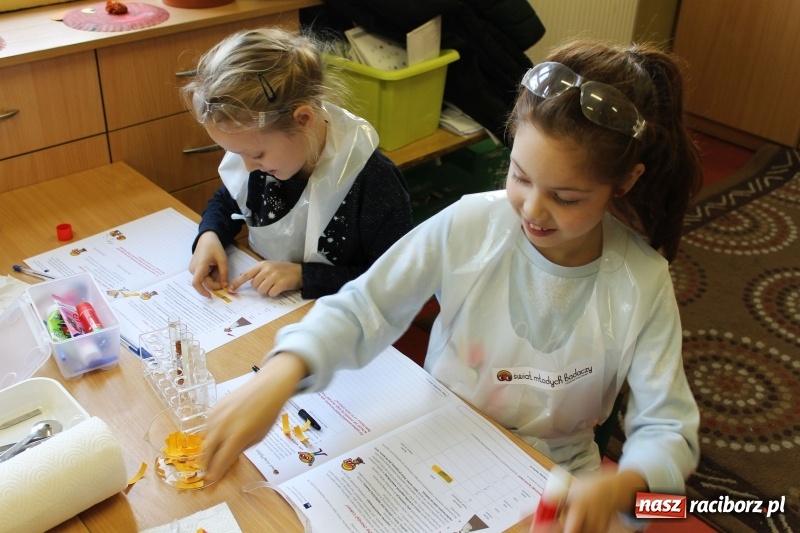 Zdjęcie w galerii na portalu naszraciborz.pl: Słodko, czyli kwaśno. Młodzi badacze z Płoni  wiadomości z regionu