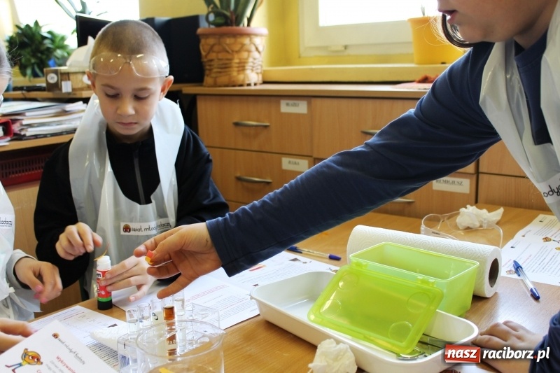 Zdjęcie w galerii na portalu naszraciborz.pl: Słodko, czyli kwaśno. Młodzi badacze z Płoni  wiadomości z regionu