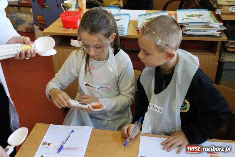 Zdjęcie w galerii na portalu naszraciborz.pl: Słodko, czyli kwaśno. Młodzi badacze z Płoni  wiadomości z regionu