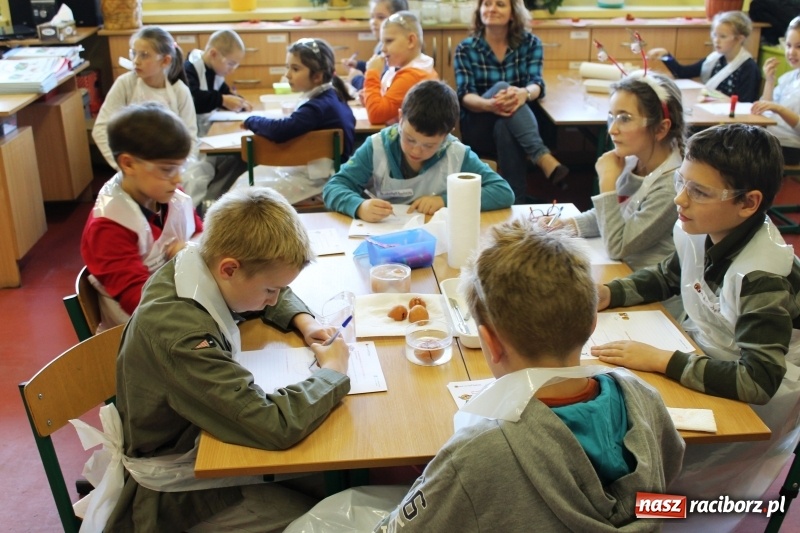 Zdjęcie w galerii na portalu naszraciborz.pl: Słodko, czyli kwaśno. Młodzi badacze z Płoni  wiadomości z regionu