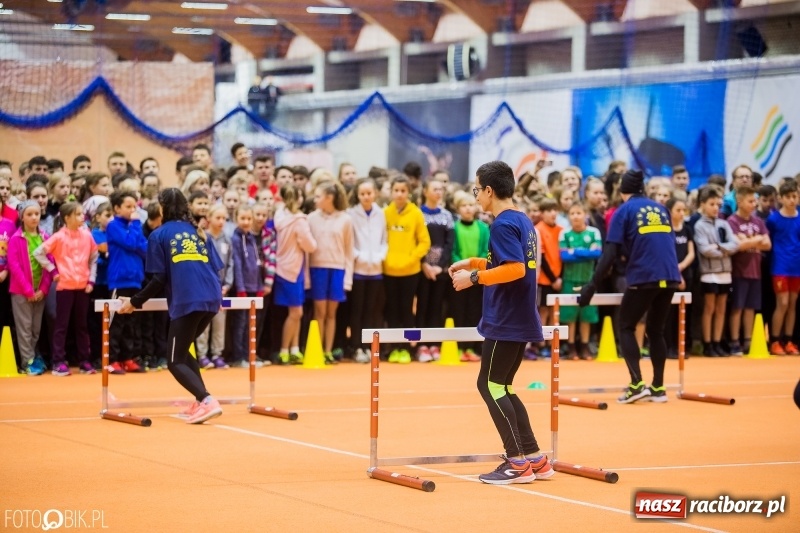 Zdjęcie w galerii na portalu naszraciborz.pl: Jesienne Halowe Mistrzostwa Raciborza w lekkiej atletyce. Zmaganiom przyglądała się Justyna Święty-Ersetic wiadomości z regionu