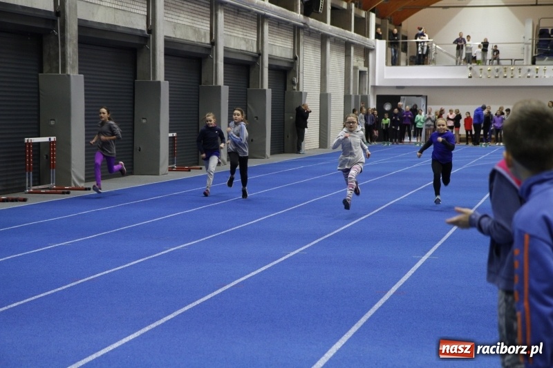 Zdjęcie w galerii na portalu naszraciborz.pl: Jesienne Halowe Mistrzostwa Raciborza w lekkiej atletyce. Zmaganiom przyglądała się Justyna Święty-Ersetic wiadomości z regionu