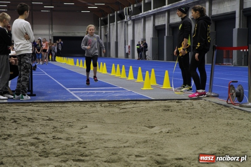 Zdjęcie w galerii na portalu naszraciborz.pl: Jesienne Halowe Mistrzostwa Raciborza w lekkiej atletyce. Zmaganiom przyglądała się Justyna Święty-Ersetic wiadomości z regionu