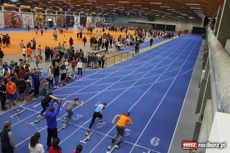 Zdjęcie w galerii na portalu naszraciborz.pl: Jesienne Halowe Mistrzostwa Raciborza w lekkiej atletyce. Zmaganiom przyglądała się Justyna Święty-Ersetic wiadomości z regionu
