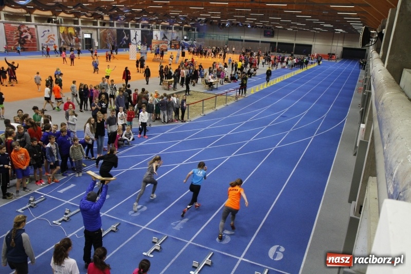 Zdjęcie w galerii na portalu naszraciborz.pl: Jesienne Halowe Mistrzostwa Raciborza w lekkiej atletyce. Zmaganiom przyglądała się Justyna Święty-Ersetic wiadomości z regionu