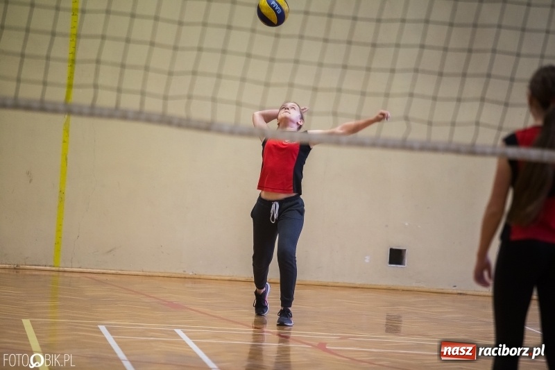 Zdjęcie w galerii na portalu naszraciborz.pl: Turniej dwójek siatkarskich dziewcząt w SP 18 wiadomości z regionu