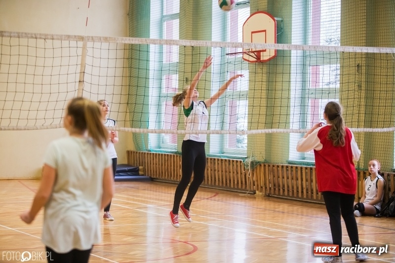 Zdjęcie w galerii na portalu naszraciborz.pl: Turniej dwójek siatkarskich dziewcząt w SP 18 wiadomości z regionu