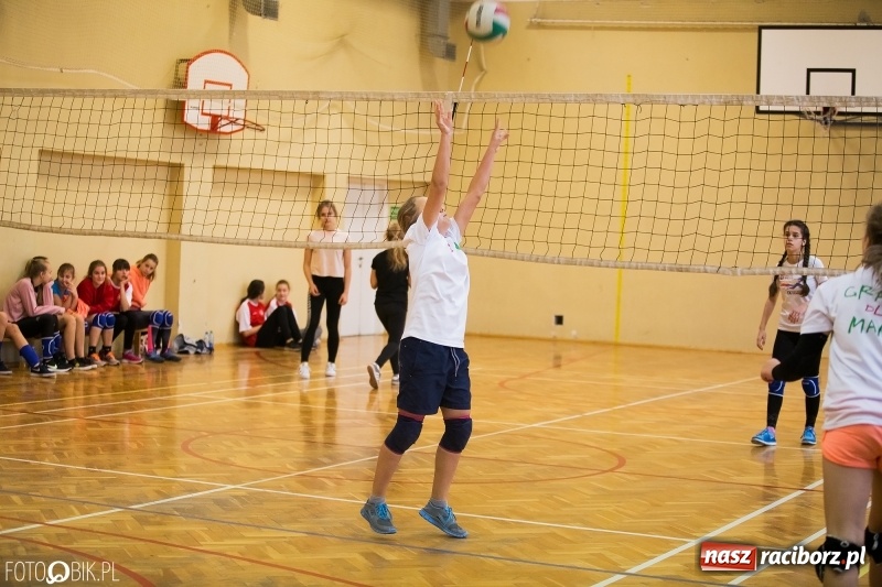 Zdjęcie w galerii na portalu naszraciborz.pl: Turniej dwójek siatkarskich dziewcząt w SP 18 wiadomości z regionu
