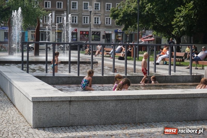 Zdjęcie w galerii na portalu naszraciborz.pl: Raciborski Skwer Pieczki dobrym przykładem właściwego planowania przestrzeni miejskiej wiadomości z regionu