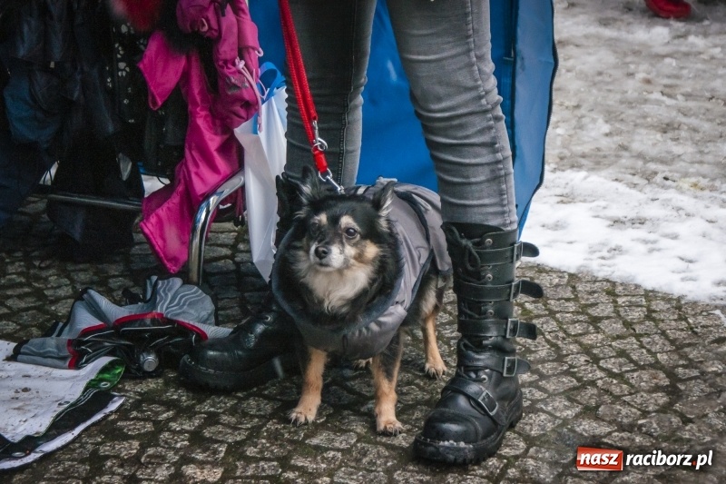 Zdjęcie w galerii na portalu naszraciborz.pl: I Festiwal Ubranek w Raciborzu wiadomości z regionu