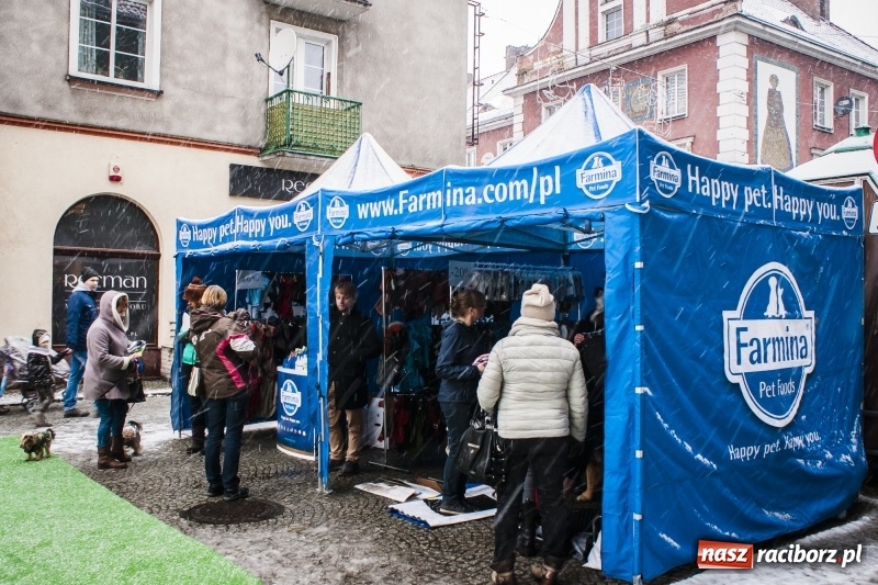 Zdjęcie w galerii na portalu naszraciborz.pl: I Festiwal Ubranek w Raciborzu wiadomości z regionu