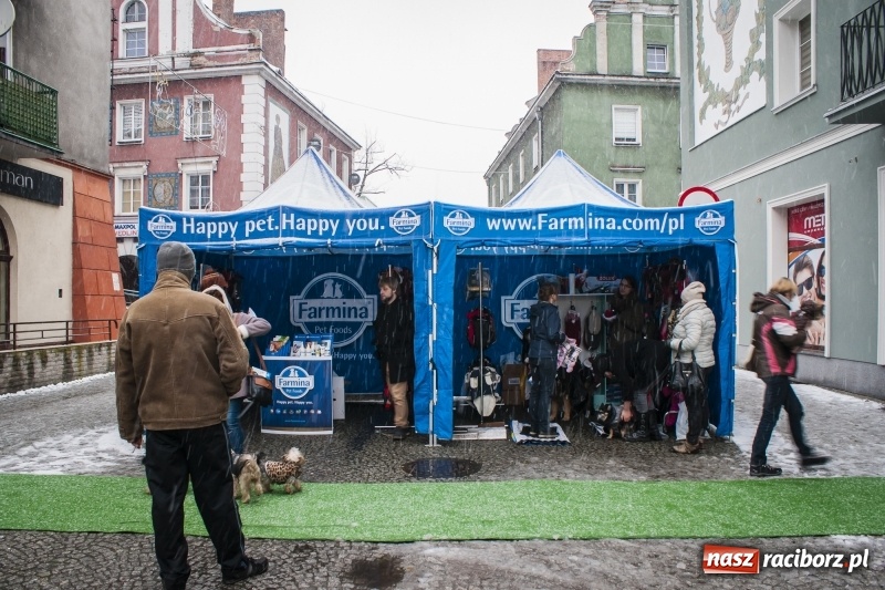 Zdjęcie w galerii na portalu naszraciborz.pl: I Festiwal Ubranek w Raciborzu wiadomości z regionu