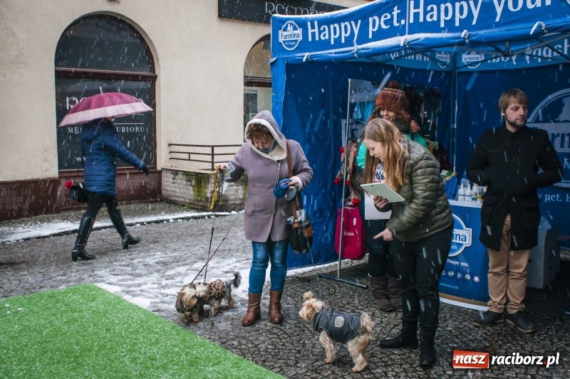 Zdjęcie w galerii na portalu naszraciborz.pl: I Festiwal Ubranek w Raciborzu wiadomości z regionu