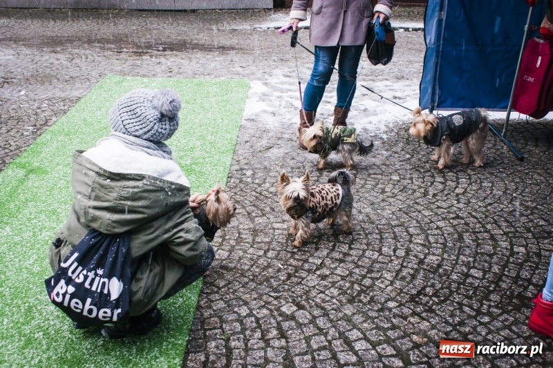 Zdjęcie w galerii na portalu naszraciborz.pl: I Festiwal Ubranek w Raciborzu wiadomości z regionu