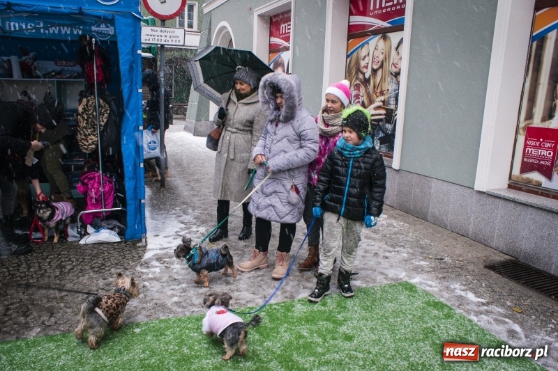 Zdjęcie w galerii na portalu naszraciborz.pl: I Festiwal Ubranek w Raciborzu wiadomości z regionu